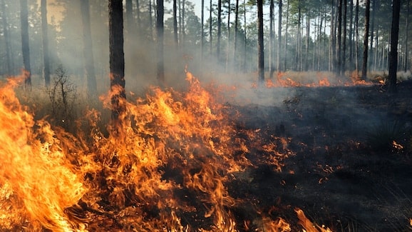 Incendi in europa, le mappe mostrano un’estate già critica %incendi in europa, le mappe mostrano un’estate già criticacount(title)% Incendi in europa, le mappe mostrano un’estate già critica