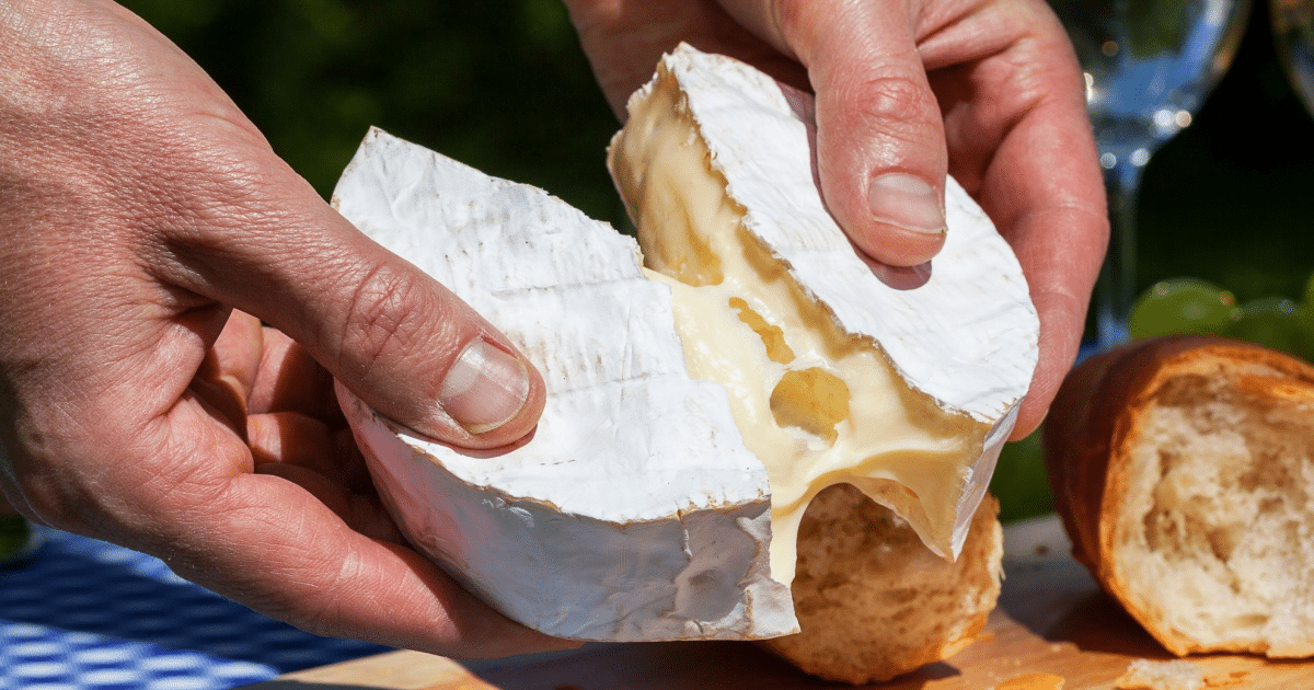Listeria nei formaggi molli: il frigorifero non basta a fermarla