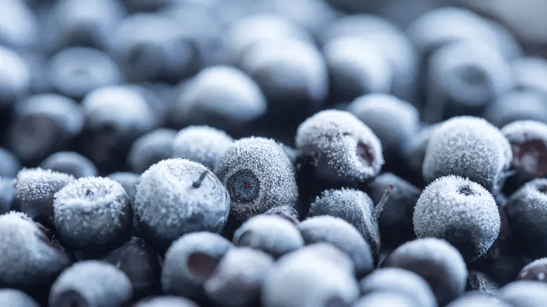 Mirtilli congelati ritirati per e. Coli: perché il freezer non basta %mirtilli congelati ritirati per e. Coli: perché il freezer non bastacount(title)% Mirtilli congelati ritirati per e. Coli: perché il freezer non basta