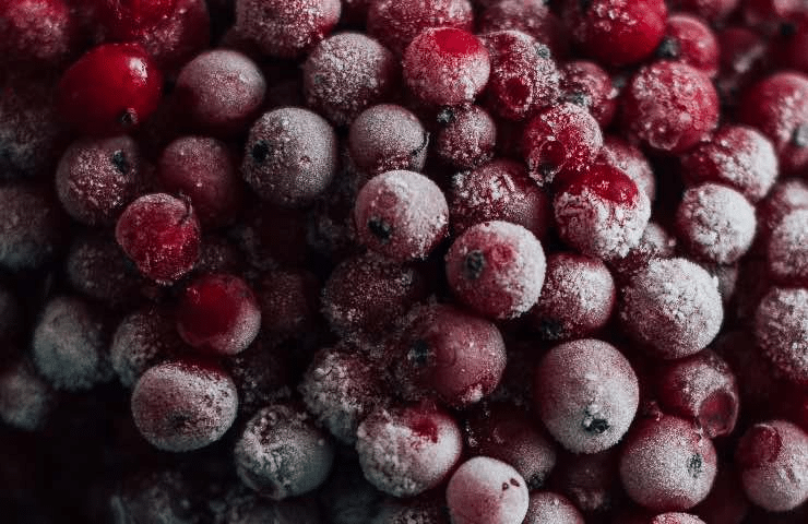 Mirtilli congelati ritirati per e. Coli: perché il freezer non basta %mirtilli congelati ritirati per e. Coli: perché il freezer non bastacount(title)% Mirtilli congelati ritirati per e. Coli: perché il freezer non basta