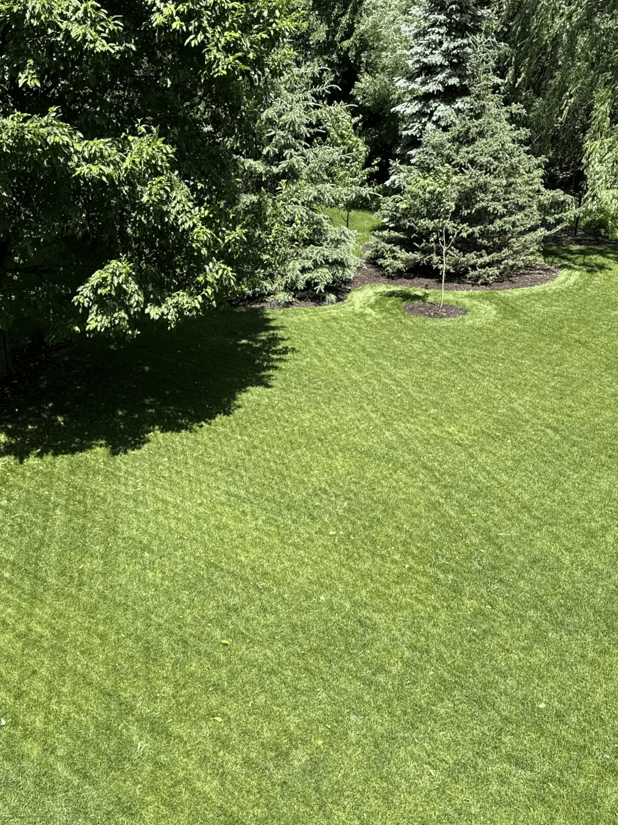 Mova lidax 2000, la recensione: il robot tagliaerba che sorveglia anche il giardino