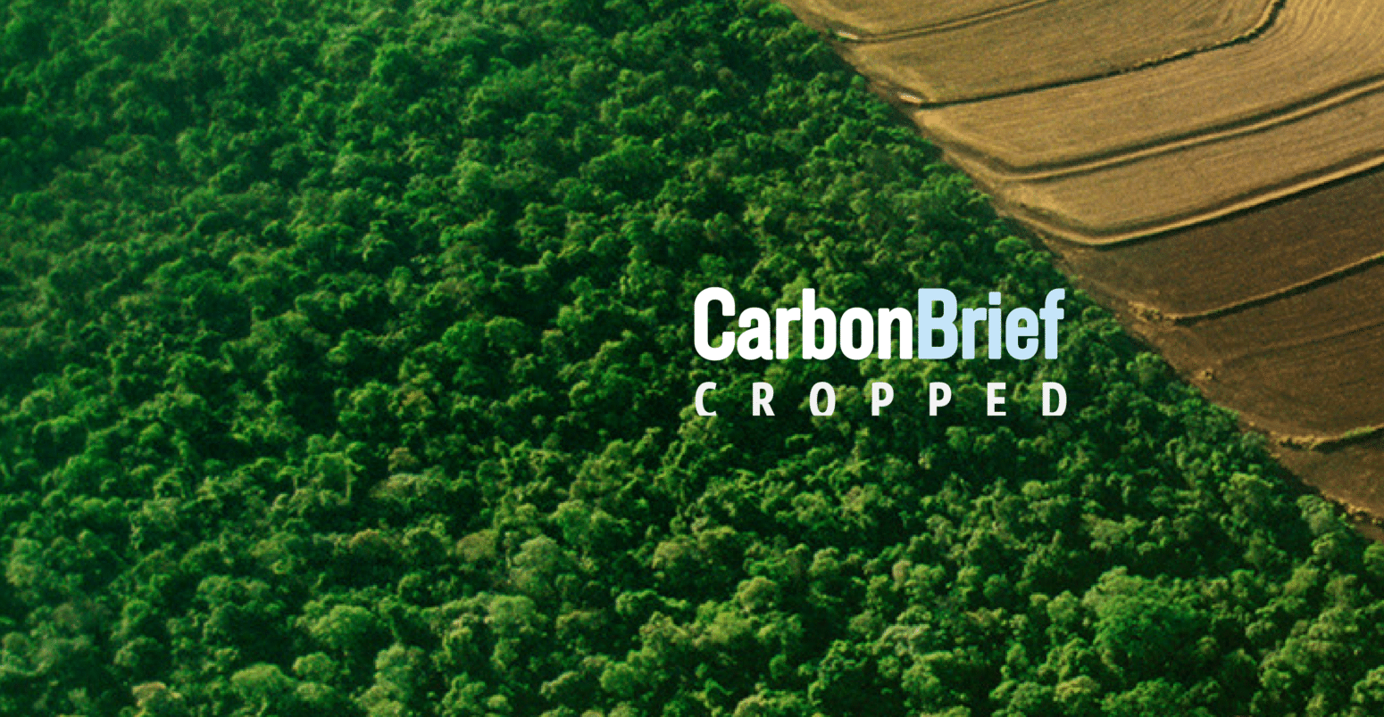 Ondate di calore in europa, cosa cambia per cibo e natura %ondate di calore in europa, cosa cambia per cibo e naturacount(title)% Ondate di calore in europa, cosa cambia per cibo e natura