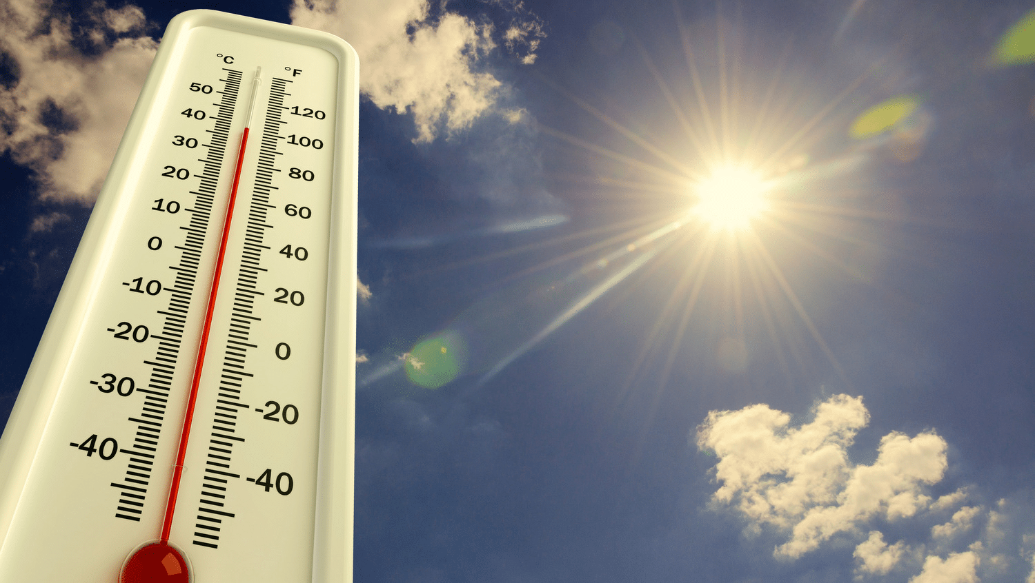 Ondate di calore in europa, cosa cambia per cibo e natura %ondate di calore in europa, cosa cambia per cibo e naturacount(title)% Ondate di calore in europa, cosa cambia per cibo e natura