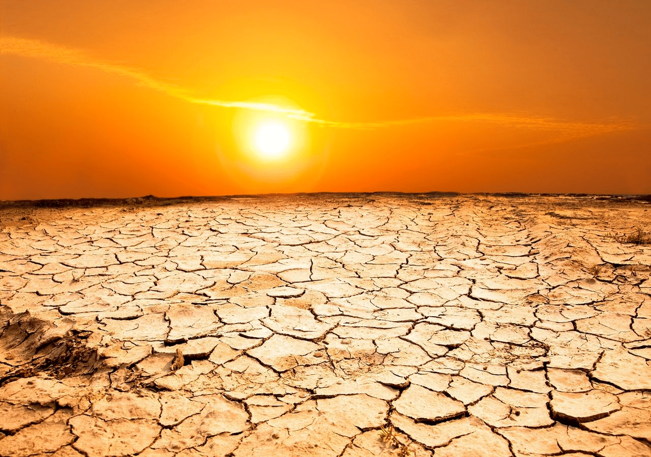 Ondate di calore in europa, cosa cambia per cibo e natura %ondate di calore in europa, cosa cambia per cibo e naturacount(title)% Ondate di calore in europa, cosa cambia per cibo e natura