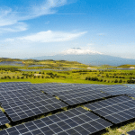 Parco solare in sicilia: fénix è il più grande d’italia %parco solare in sicilia: fénix è il più grande d’italiacount(title)% Parco solare in sicilia: fénix è il più grande d’italia