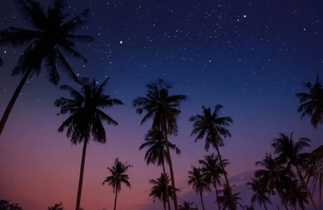 Perché di notte fa ancora così caldo? La città non riesce più a raffreddarsi %perché di notte fa ancora così caldo? La città non riesce più a raffreddarsicount(title)% Perché di notte fa ancora così caldo? La città non riesce più a raffreddarsi