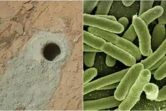 Rover rosalind franklin dell’esa mentre analizza i depositi di argilla nella regione marziana di oxia planum