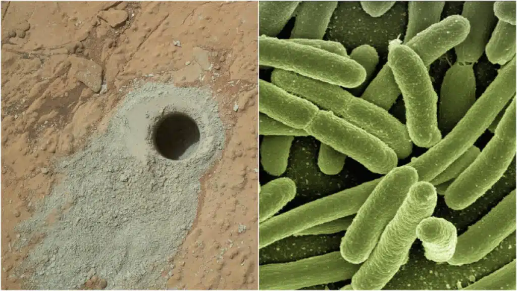 Rosalind franklin cerca vita su marte, partendo dall’argilla %rosalind franklin cerca vita su marte, partendo dall’argillacount(title)% Rosalind franklin cerca vita su marte, partendo dall’argilla