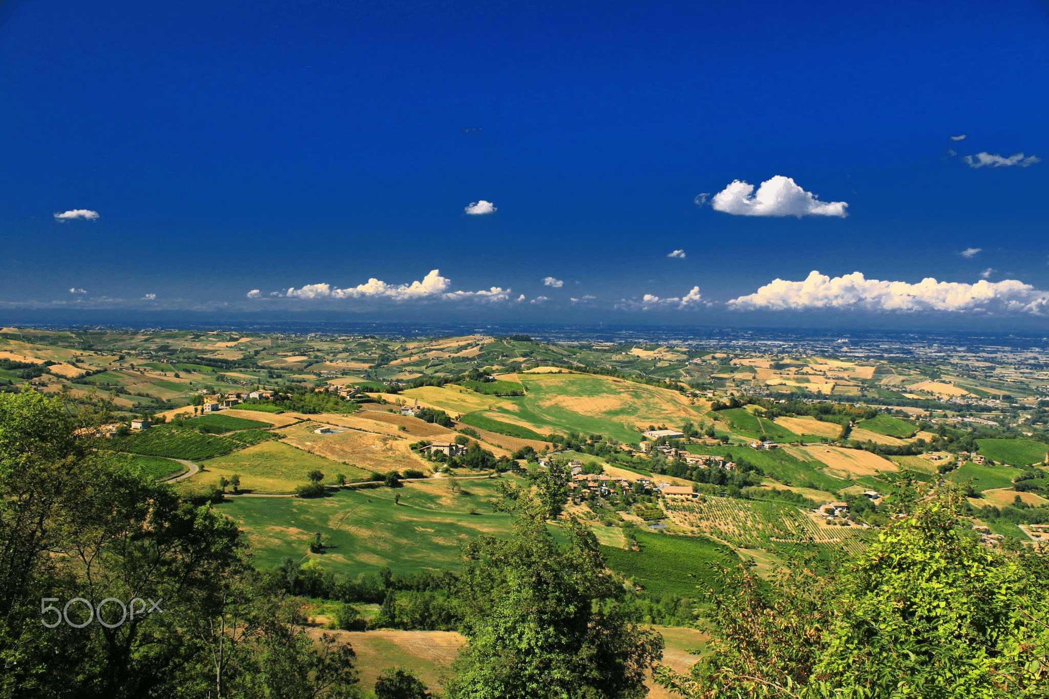 Verde urbano in italia: la mappa del divario reale %verde urbano in italia: la mappa del divario realecount(title)% Verde urbano in italia: la mappa del divario reale