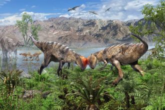 Ricostruzione di un dinosauro pachicefalosauro con cranio a cupola nel cretaceo