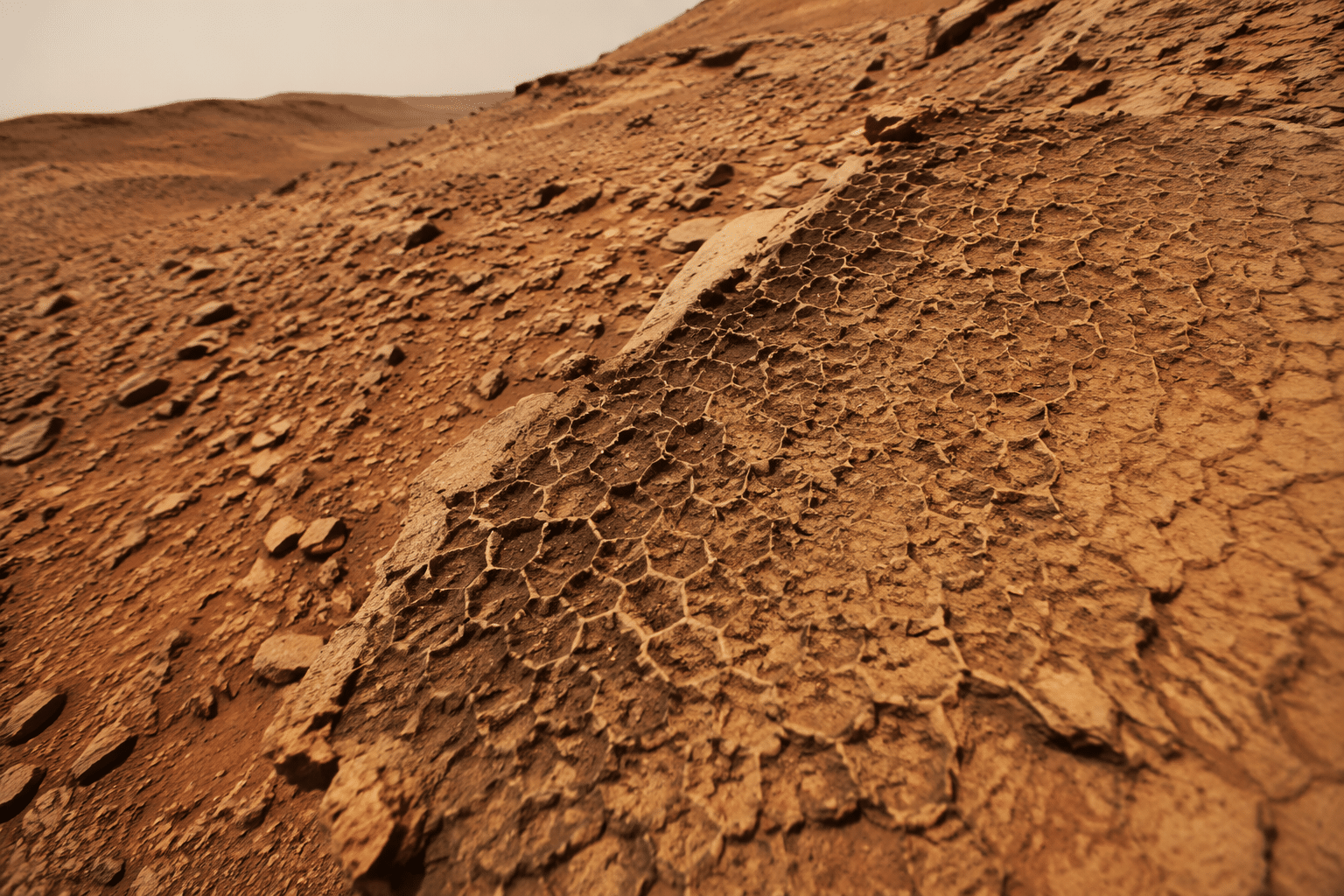 Curiosity trova un enorme “nido d’ape” su marte: cosa sono i misteriosi poligoni