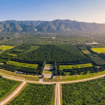 Perché la tomba di qin shi huang non viene aperta? Il problema non sono solo i fiumi di mercurio