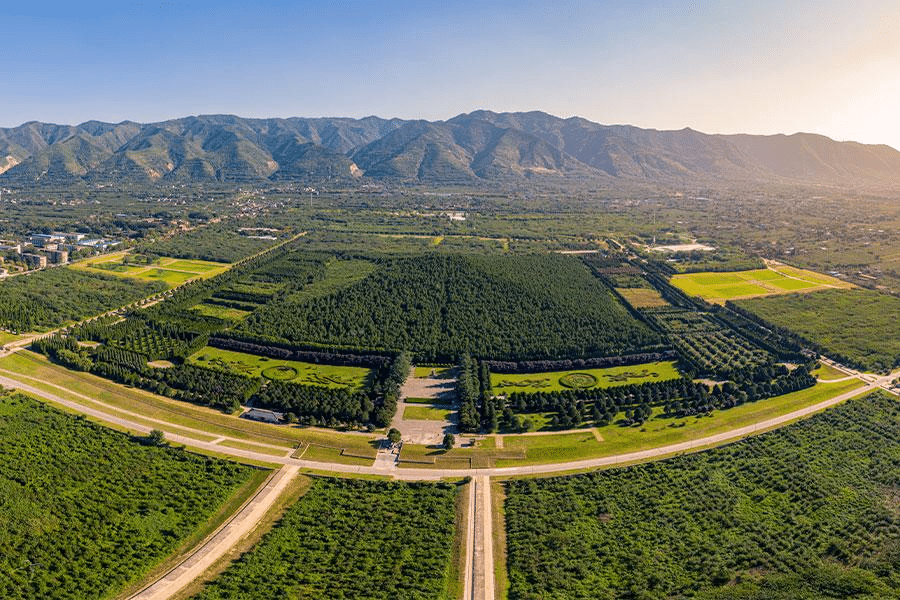 Perché la tomba di qin shi huang non viene aperta? Il problema non sono solo i fiumi di mercurio %perché la tomba di qin shi huang non viene aperta? Il problema non sono solo i fiumi di mercuriocount(title)% Perché la tomba di qin shi huang non viene aperta? Il problema non sono solo i fiumi di mercurio