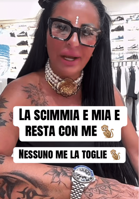 Rita de crescenzo e la scimmia comprata in egitto: può tenerla davvero? Cosa dice la legge italiana %rita de crescenzo e la scimmia comprata in egitto: può tenerla davvero? Cosa dice la legge italianacount(title)% Rita de crescenzo e la scimmia comprata in egitto: può tenerla davvero? Cosa dice la legge italiana