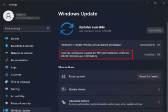 Shieldbreak su windows 11: come sapere se il pc è vulnerabile