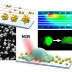 Nano-antenne d’oro fanno “brillare” le cellule vive: così possiamo vedere i segnali del cervello %nano-antenne d’oro fanno “brillare” le cellule vive: così possiamo vedere i segnali del cervellocount(title)% Nano-antenne d’oro fanno “brillare” le cellule vive: così possiamo vedere i segnali del cervello