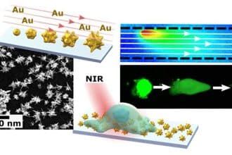 Nano-antenne d’oro fanno “brillare” le cellule vive: così possiamo vedere i segnali del cervello