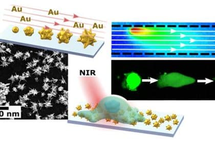 Nano-antenne d’oro fanno “brillare” le cellule vive: così possiamo vedere i segnali del cervello