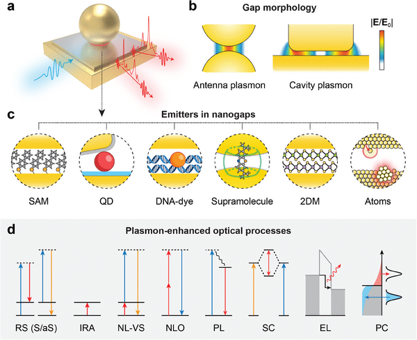 Nano-antenne d’oro fanno “brillare” le cellule vive: così possiamo vedere i segnali del cervello