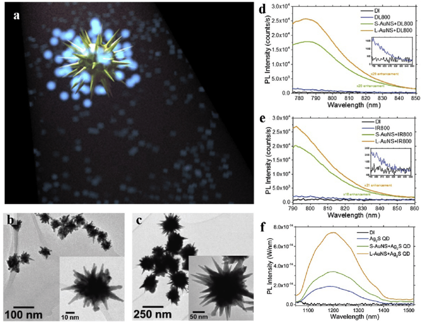 Nano-antenne d’oro fanno “brillare” le cellule vive: così possiamo vedere i segnali del cervello