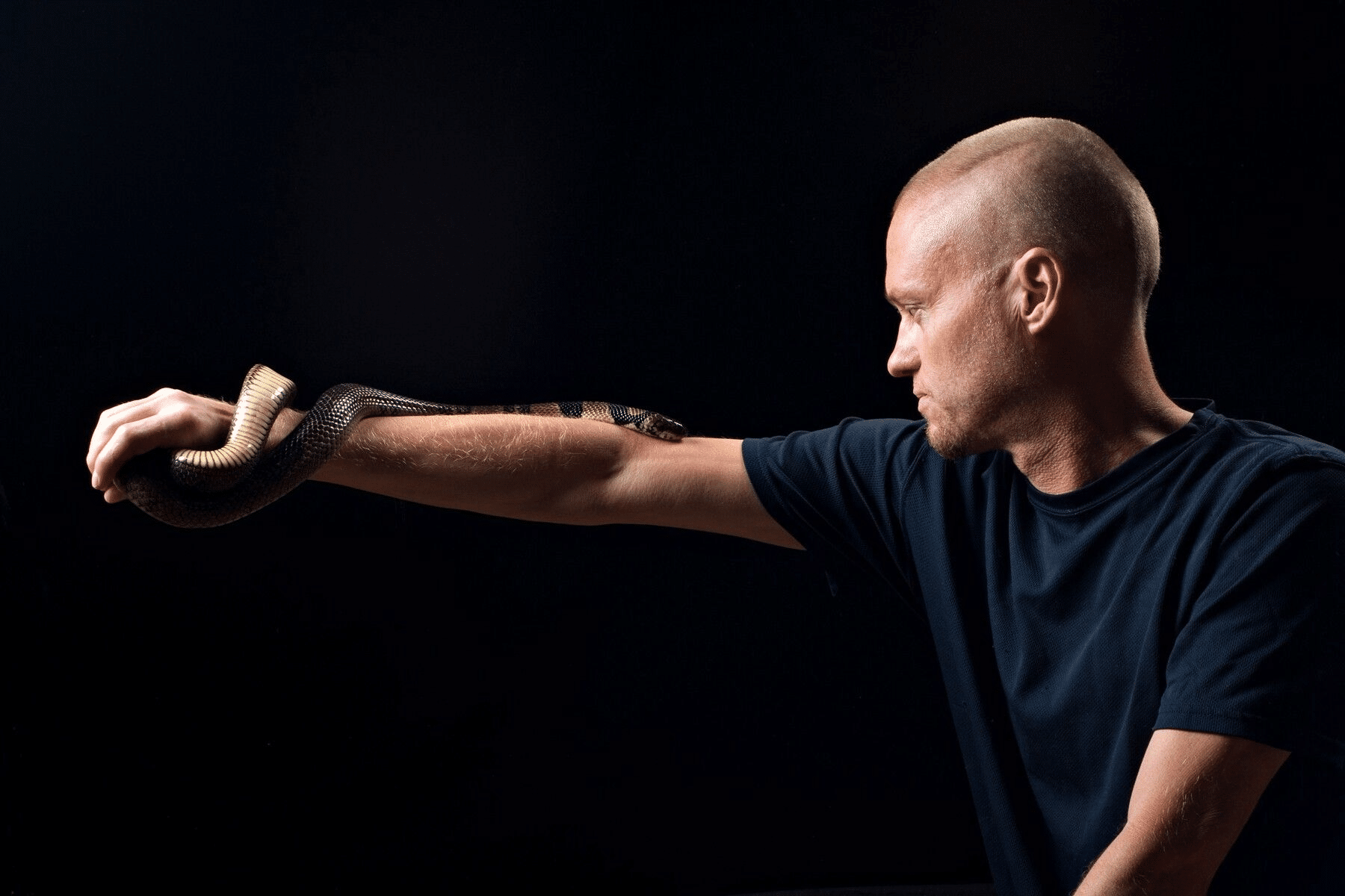 Tim friede, l’uomo morso 200 volte dai serpenti: il suo sangue può portarci a un antiveleno universale? %tim friede, l’uomo morso 200 volte dai serpenti: il suo sangue può portarci a un antiveleno universale? Count(title)% Tim friede, l’uomo morso 200 volte dai serpenti: il suo sangue può portarci a un antiveleno universale?