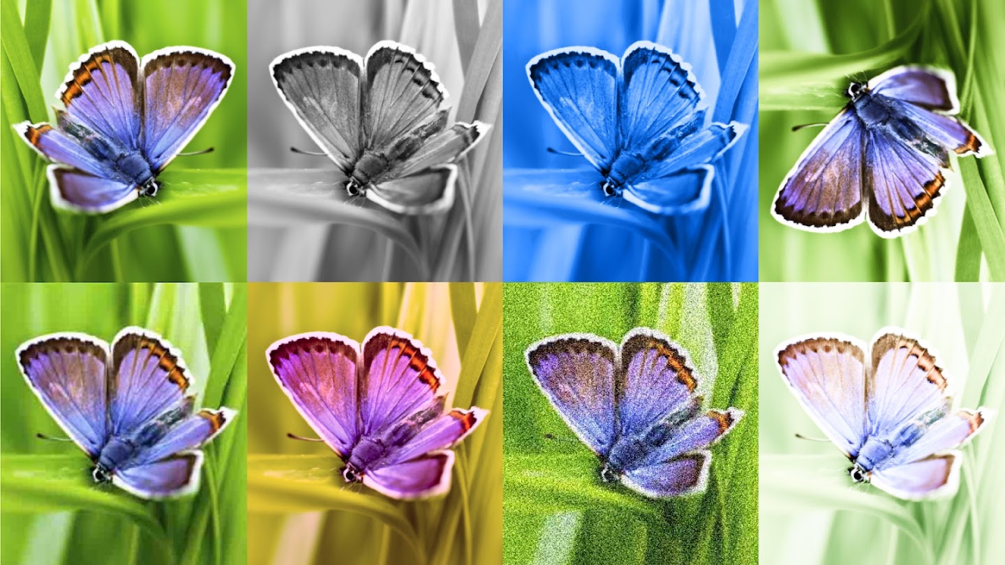 Immagini ai: c2pa e synthid bastano davvero a riconoscerle? %immagini ai: c2pa e synthid bastano davvero a riconoscerle? Count(title)% Google deepmind synthid e modifiche a un'immagine ai