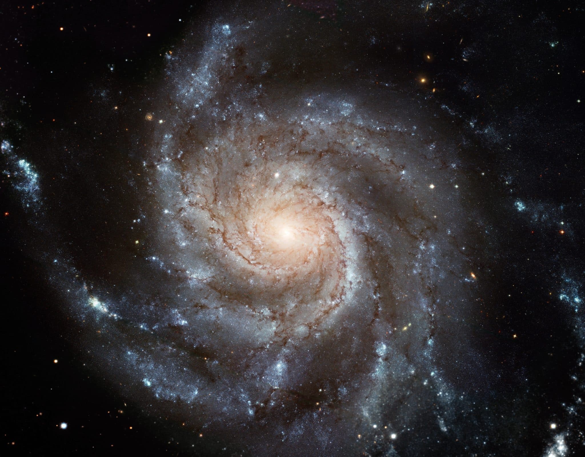 Galassia m101 osservata da hubble, una delle galassie in cui sono state individuate sorgenti x ipersoft