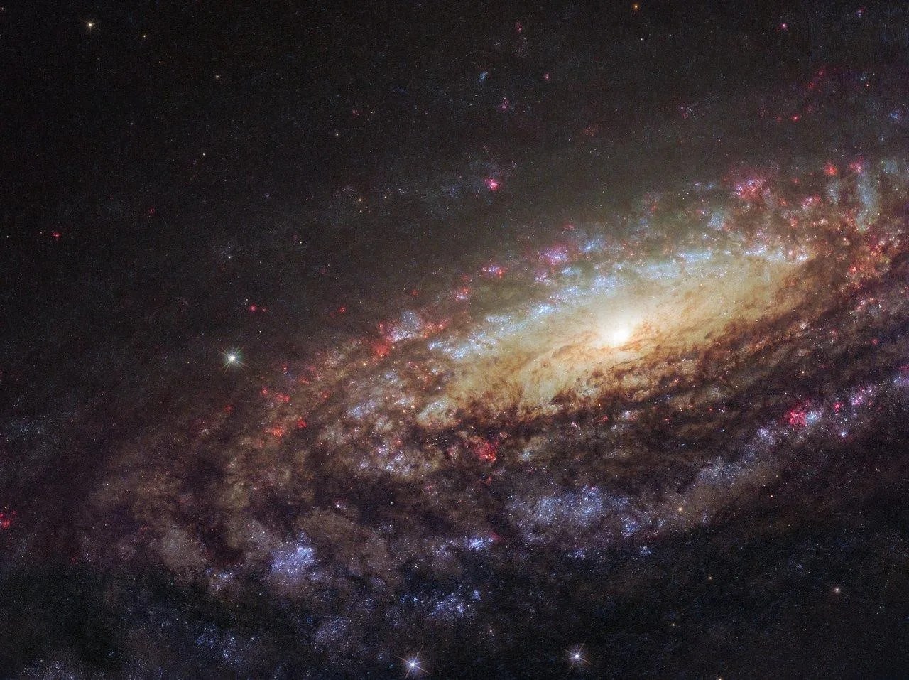 Sn 2026aaiv: come vederla dall’italia %sn 2026aaiv: come vederla dall’italiacount(title)% Galassia ngc 7331 in pegaso, sede della supernova sn 2026aaiv