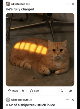 Reddit following: come vedere solo le community iscritte %reddit following: come vedere solo le community iscrittecount(title)% Reddit following: come vedere solo le community iscritte