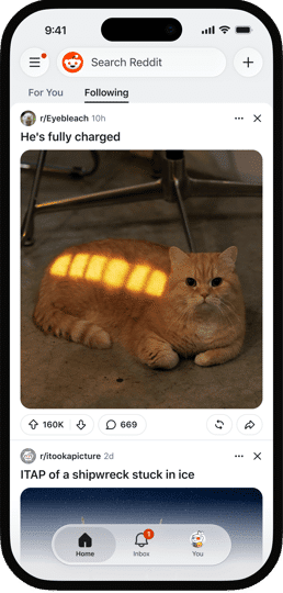 Il nuovo feed following di reddit nella schermata ufficiale