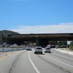 Ponte per animali di los angeles: quando apre e come funziona %ponte per animali di los angeles: quando apre e come funzionacount(title)% Ponte per animali di los angeles: quando apre e come funziona