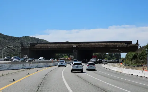 Ponte per animali di los angeles: quando apre e come funziona %ponte per animali di los angeles: quando apre e come funzionacount(title)% Ponte per animali di los angeles: quando apre e come funziona