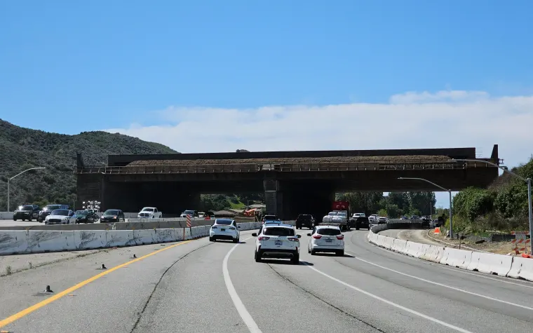 Ponte per animali di los angeles: quando apre e come funziona %ponte per animali di los angeles: quando apre e come funzionacount(title)% Ponte per animali di los angeles: quando apre e come funziona