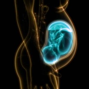 Esposizione prenatale