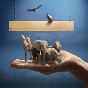 Animali a rischio estinzione